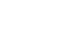 SmartFidelis